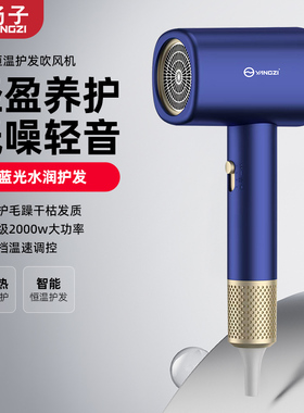 扬子电吹风机2000w大功率蓝光护发冷热风直筒电吹风机网红v08