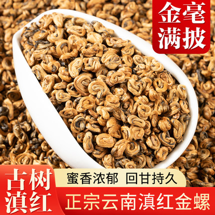 正宗云南凤庆古树新茶滇红金螺特级蜜香浓香型红茶罐装茶叶