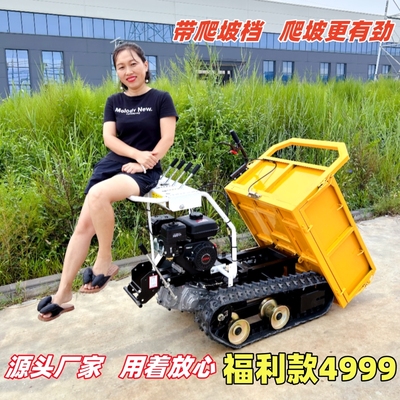 全地形履带车汽油柴油小型爬山虎