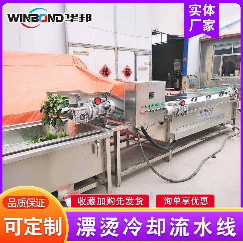 青花清椒洗杀漂烫流水线 却海鲜青预煮冷流/水线 海带藕片漂烫机