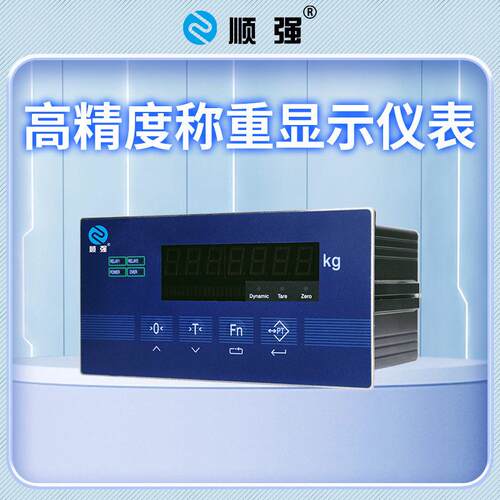 器智能定量包秤精度电子称重控制 测装配力0252仪表料电子秤