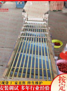 小型沃GVY式柑轨道分选 皮带式柑橘选果机可调节果蔬机分级设备