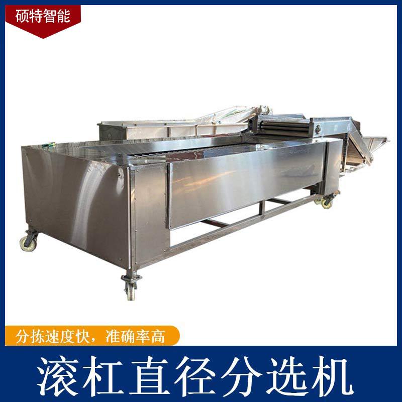 滚杠式土豆分级机 马铃薯分选机设备 番茄分拣机规格支持制作