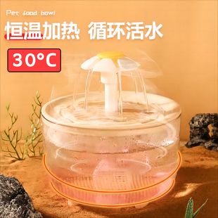 猫咪饮水机自动循环恒温加热冬季喝水器流动小猫酸奶机宠物喂水碗