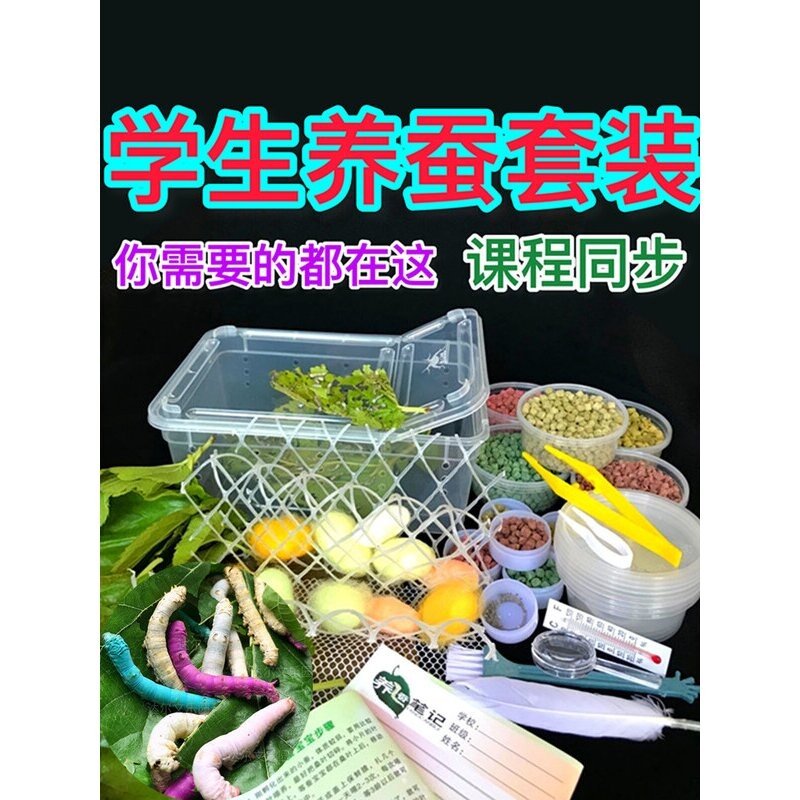 蚕宝宝学生养蚕套装春蚕卵种籽活物体七彩色宠物蚕观察盒新鲜桑叶