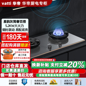 Vatti/华帝 8E22G燃气灶家用5.2KW大火力双眼煤气灶炉具一键爆炒