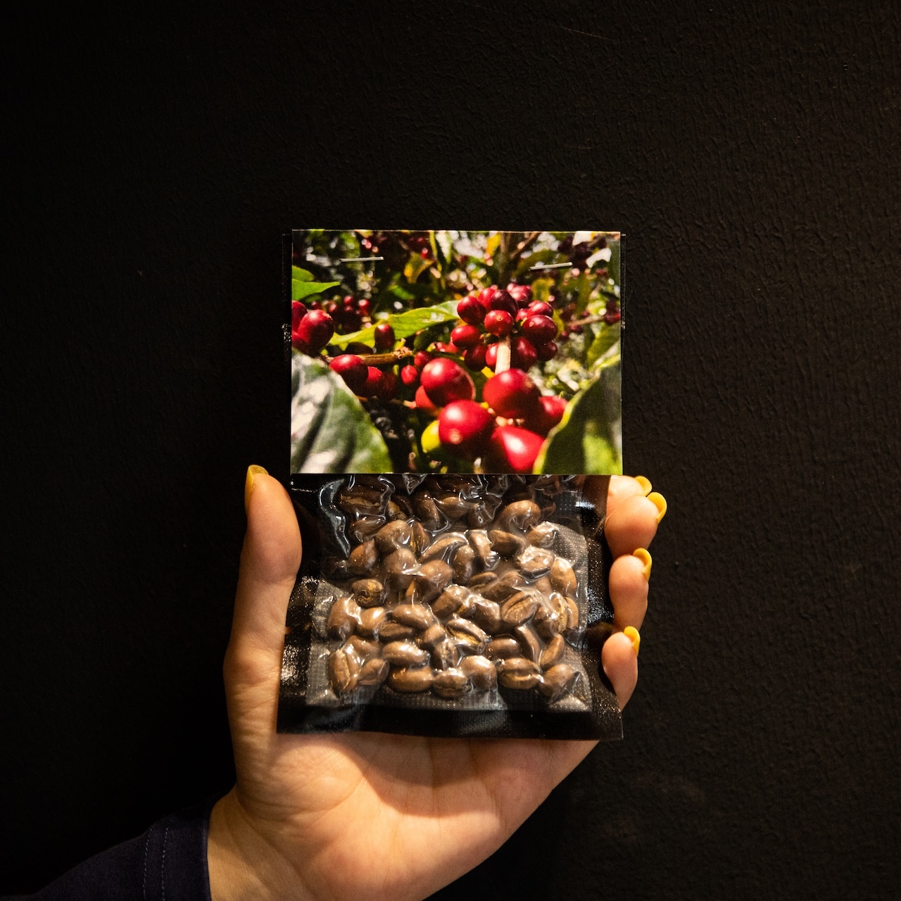 绝对小孩手冲咖啡单杯品鉴装