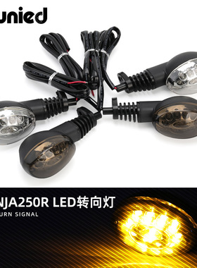 摩托车配件川崎小忍者适用250 Ninja 250R EX250 VN650转向方向灯