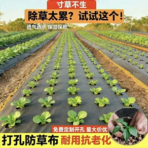 蔬菜打孔防草布透气渗水耐用