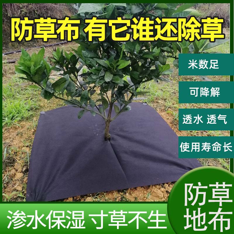 果园加厚地膜抗老化防草布除草布农用打孔透气透水盖草布除草地布