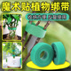 植物绑带爬藤植物魔术贴双面捆绑花固定型扎线支撑扎带爬藤固定