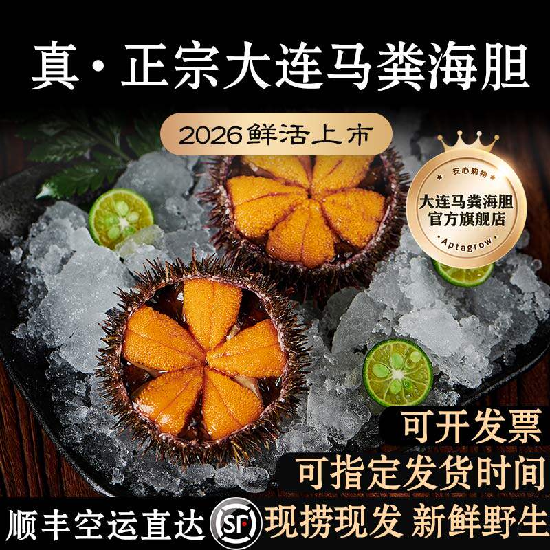 新鲜】正宗大连马粪海胆官方旗舰店鲜活黄紫胆活刺身即食顺丰虾夷