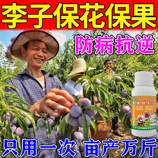 李子保花保果药专用肥料果树防落裂果增甜膨大素剂授粉坐果精神器
