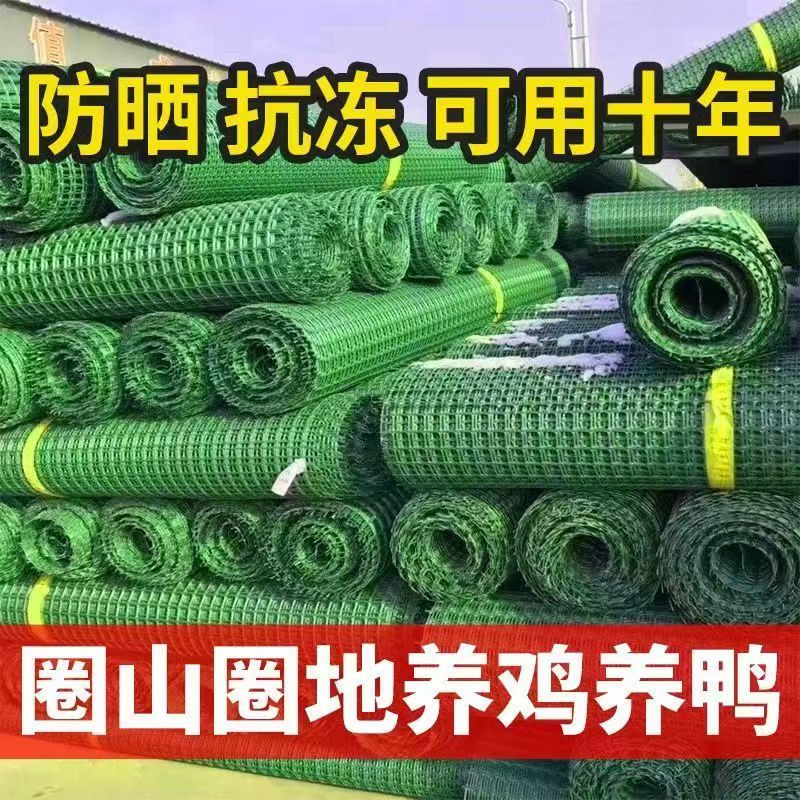 绿色塑料网格养殖网户外家用隔离防护果园菜地爬藤绿色围栏网