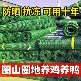 优质塑料网格养殖网户外家用隔离防护果园菜地爬藤绿色围栏网