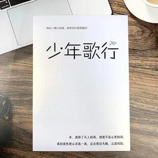 少年歌行经典语录歌词李宏毅萧瑟周边男女生练字漂亮字体临摹字帖