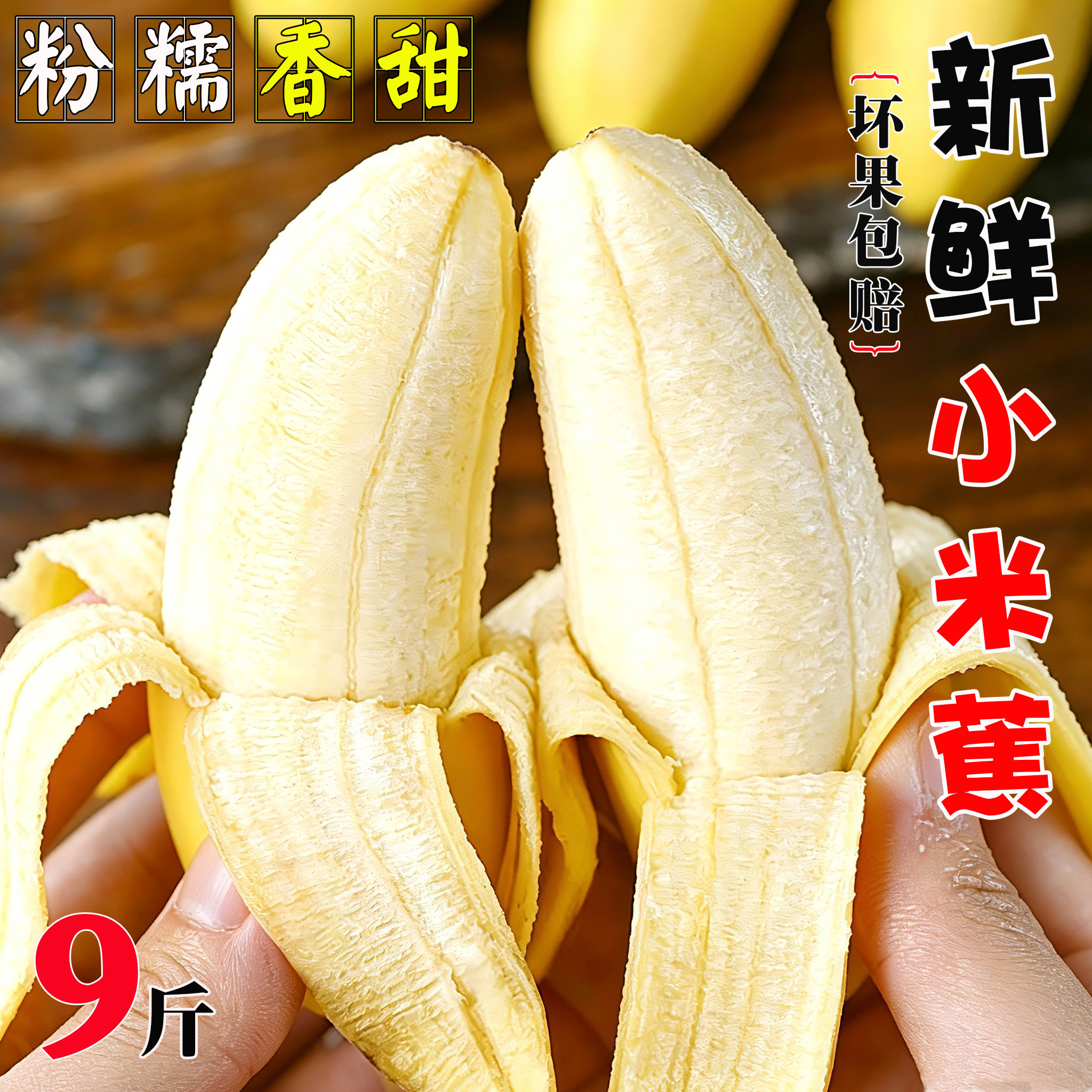 广西新鲜小米蕉3/5/9斤装现摘孕妇水果粉糯香甜当季水果香蕉包邮