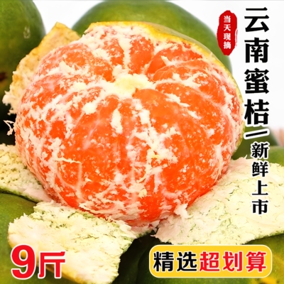 『官方推荐』云南无籽蜜桔9斤甜