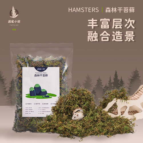 居家小宠森林苔藓仓鼠金丝熊