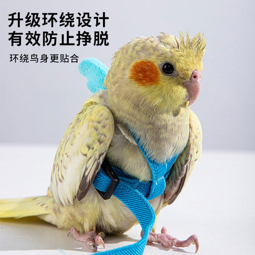 居家小宠宠物外出绳外出神器