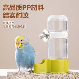 鸟用自动饮水器鹦鹉大号喂水器喝水食盒喂食器鸟笼配件鸟具用品