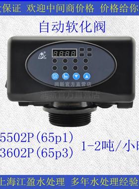 润新全自动软化阀63502P/F65P1家用2-4吨软水设备锅炉软化机头F63