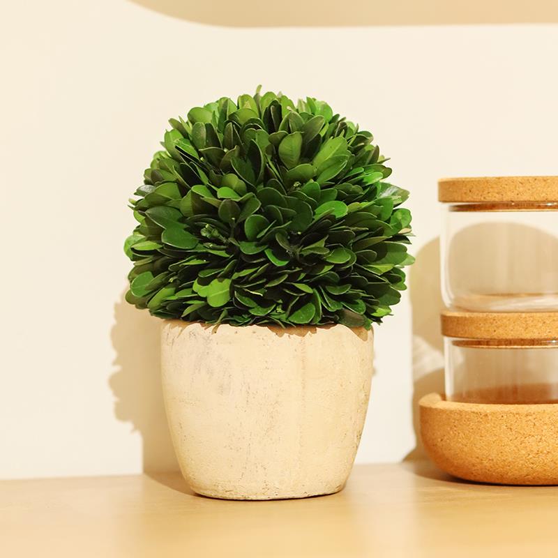 复古风迷你植物小盆栽办公室内桌面绿植好养客厅装饰摆件趣味盆景