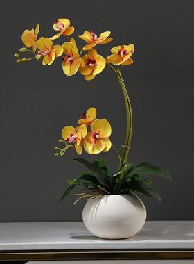 仿真蝴蝶兰花艺套装摆件新中式客厅餐桌博古架假花桌面小盆栽装饰