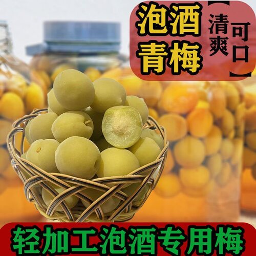 青梅泡酒专用现摘新鲜果腌制半成品方便休闲家庭果酒省事爽口蜜饯轻加工酸甜便捷冰糖泡制网红款梅子酒开胃果脯果干简单解腻小零食