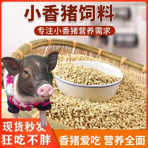 小香猪宠物猪饲料全营养