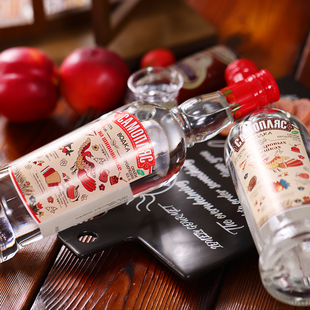 5瓶俄罗斯进口伏特加45度原装 进口洋酒生命之水小鸟伏特加食品