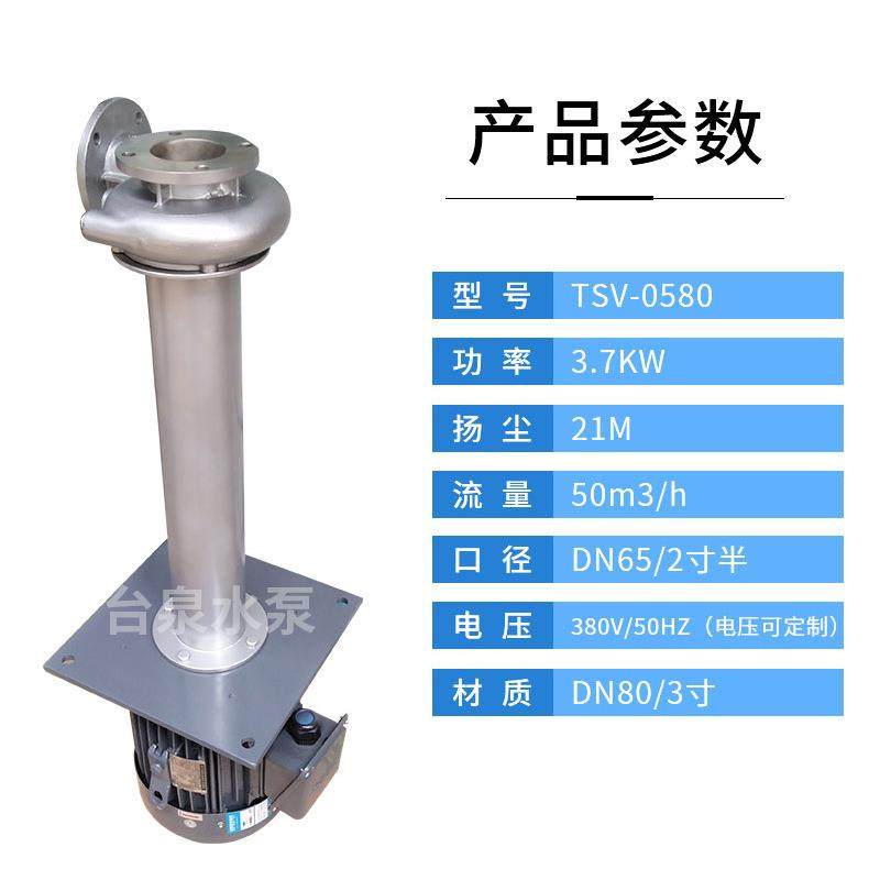 3寸PCB直立式液下排污S酸碱水泵TSV-0580配2/3级能效东元电机5HP