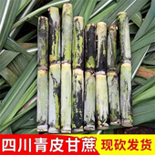 孕妇正宗鲜甘蔗 包邮 四川青皮甘蔗新鲜批发一级水果中段当季 整箱