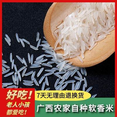广西猫牙米正宗长粒香米丝苗米新米不抛光不打蜡农家生态米