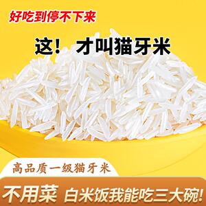 正宗猫牙米长粒香大米2024年新米泰国香米丝苗米煲仔饭官方旗舰店