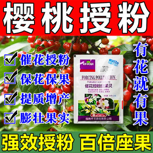 大樱桃授粉药坐果剂车厘子促开花点花神器保花保果药防落果增产肥