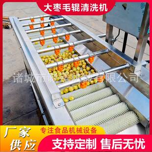 全自动果蔬毛辊清洗机大枣去杂毛刷清洗机苹果柑橘毛辊清洗机设备
