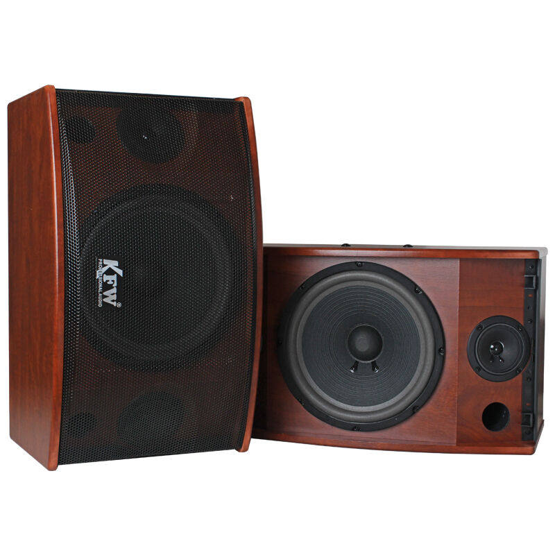 凯浮蛙kfwk-10会议音箱卡拉ok音箱卡包音箱10寸.