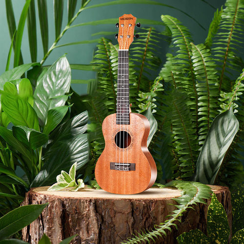 初学尤克里里【送配件送课程】