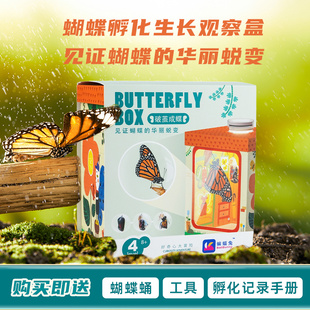 活体蝴蝶蛹可孵化认主无毒宠物饲养盒儿童学生科普观察破蛹茧成蝶
