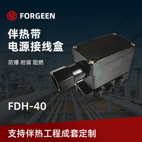 电源接线盒FDH-40伴热带配件电伴热带行动电源
