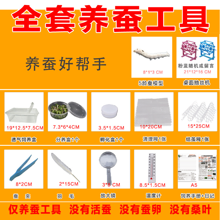 蚕宝宝养蚕工具套装清理网结茧网羽毛放大镜蚕夹蚕卵孵化盒饲养盒