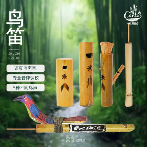 鸟笛蛙鸣器西洋乐器专业级礼物