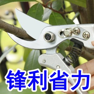 花剪修枝剪树枝剪刀园艺剪粗枝剪刀园林剪果树剪五金工具