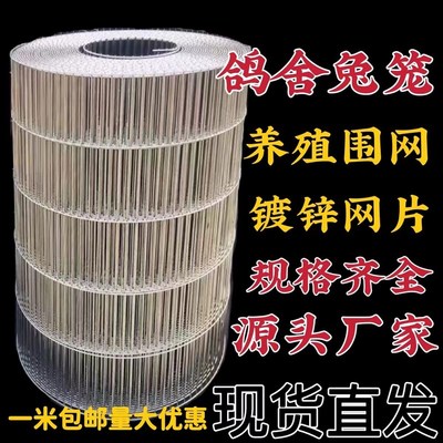 镀锌网片鸡鸭笼舍养殖网围栏长孔网格防护隔离加粗钢丝花园铁丝网
