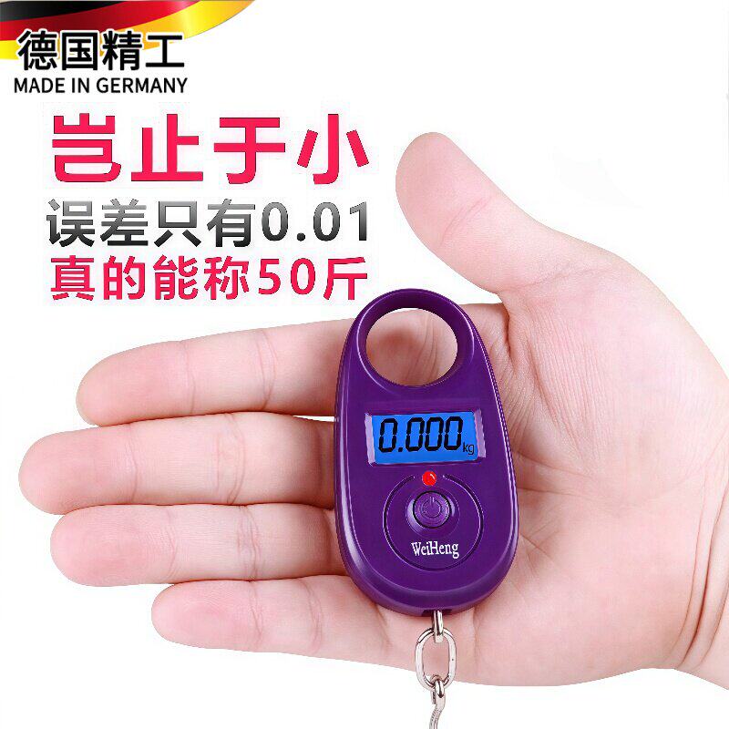 德国称鱼器称重手提电子秤勾子称便携小型专用买菜精准家用手持