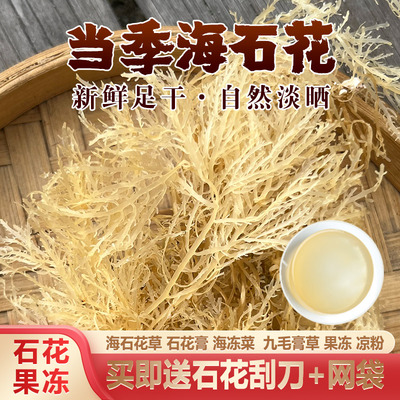 海石花石花草海凉粉四果汤