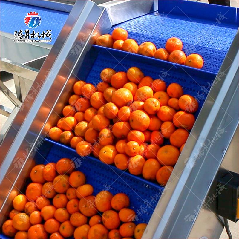 果蔬青枣淋菜喷式无蔬损伤清洗作叶业线 全自动水DUE果菜清洁设备