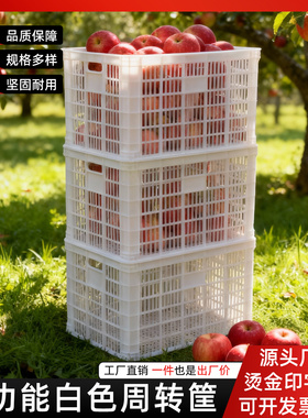 白色装水果的塑料筐长方形货框筐子大号镂空蔬菜收纳篮熟胶大胶框