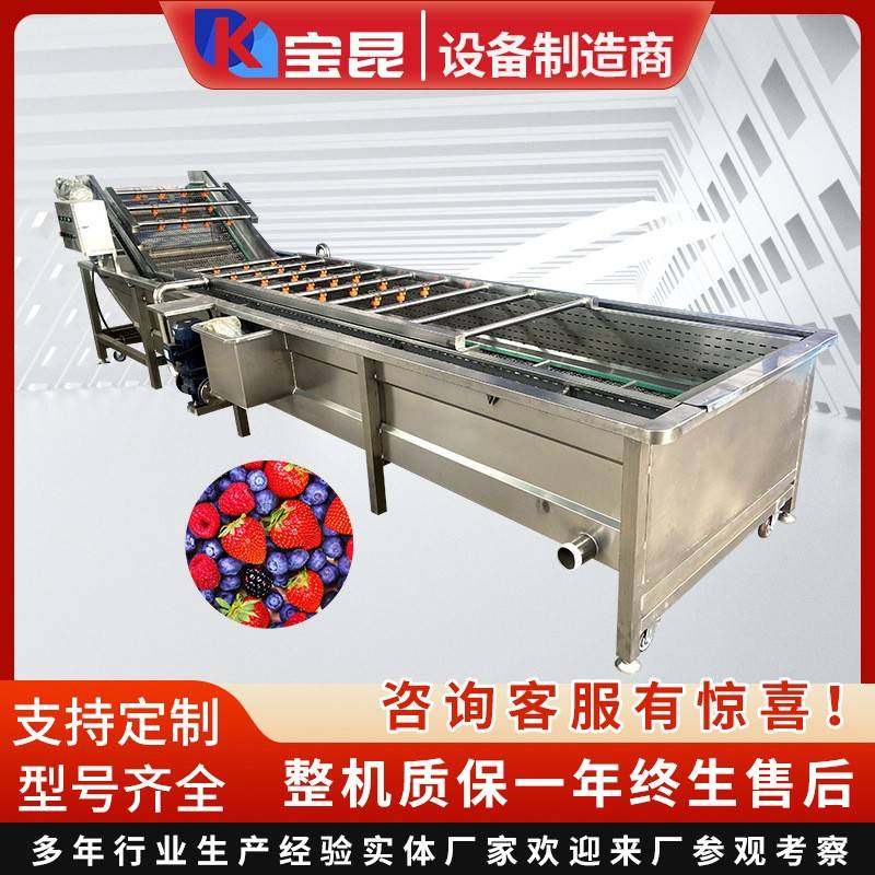 全自动枇杷果洗果机酸菜海产品清洗脱盐设备商用高压喷淋洗菜机